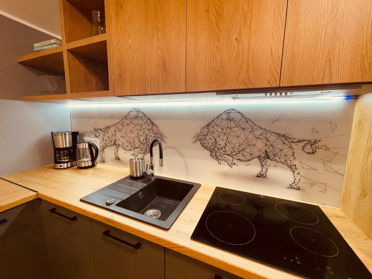 Apartamenty Ktw Kosciuszki 41 - Sky & Design カトヴィツェ エクステリア 写真