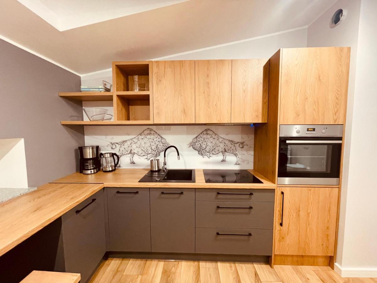 Apartamenty Ktw Kosciuszki 41 - Sky & Design カトヴィツェ エクステリア 写真