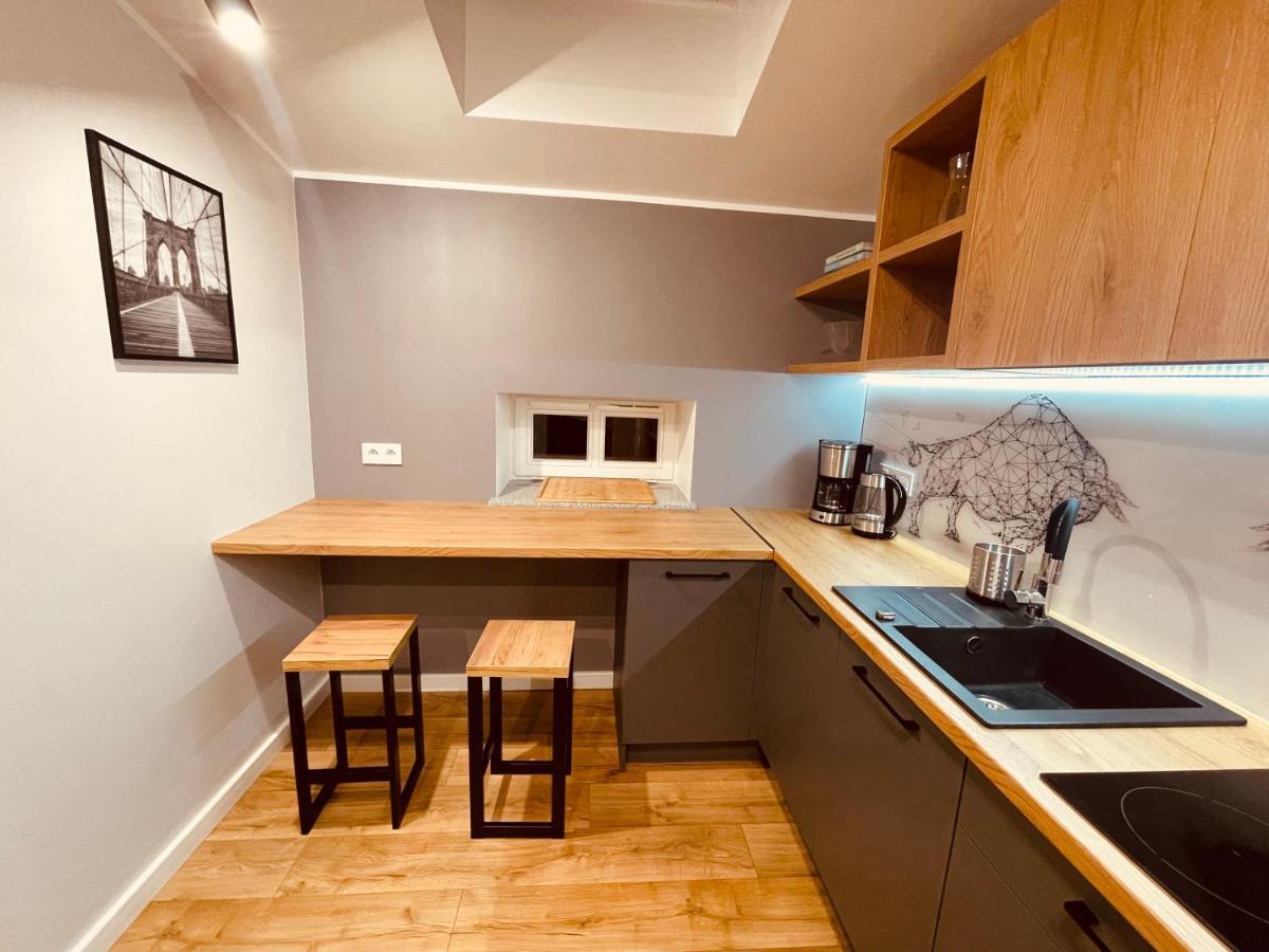 Apartamenty Ktw Kosciuszki 41 - Sky & Design カトヴィツェ エクステリア 写真