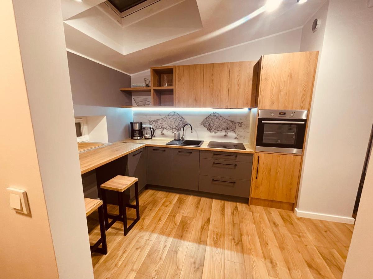 Apartamenty Ktw Kosciuszki 41 - Sky & Design カトヴィツェ エクステリア 写真