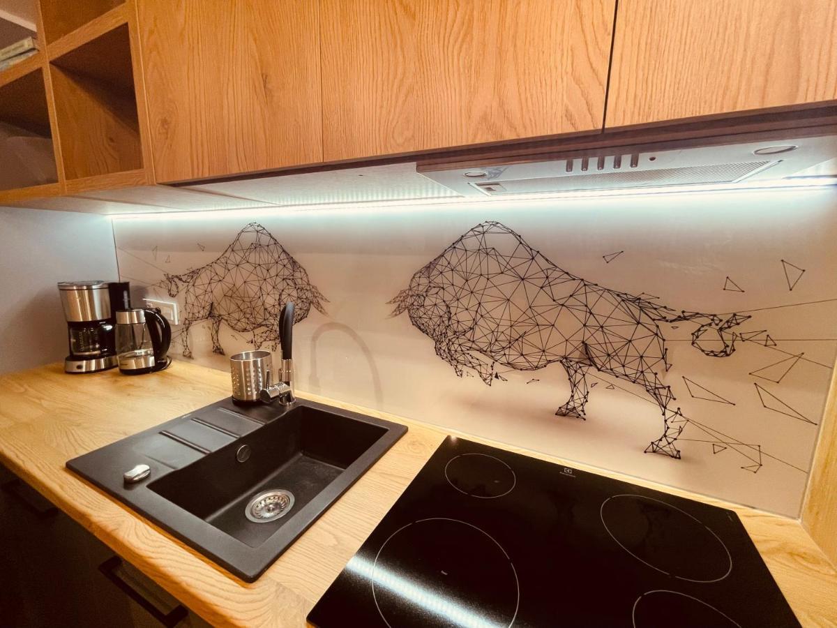 Apartamenty Ktw Kosciuszki 41 - Sky & Design カトヴィツェ エクステリア 写真